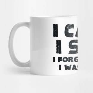 I came, I saw, I forgot Mug